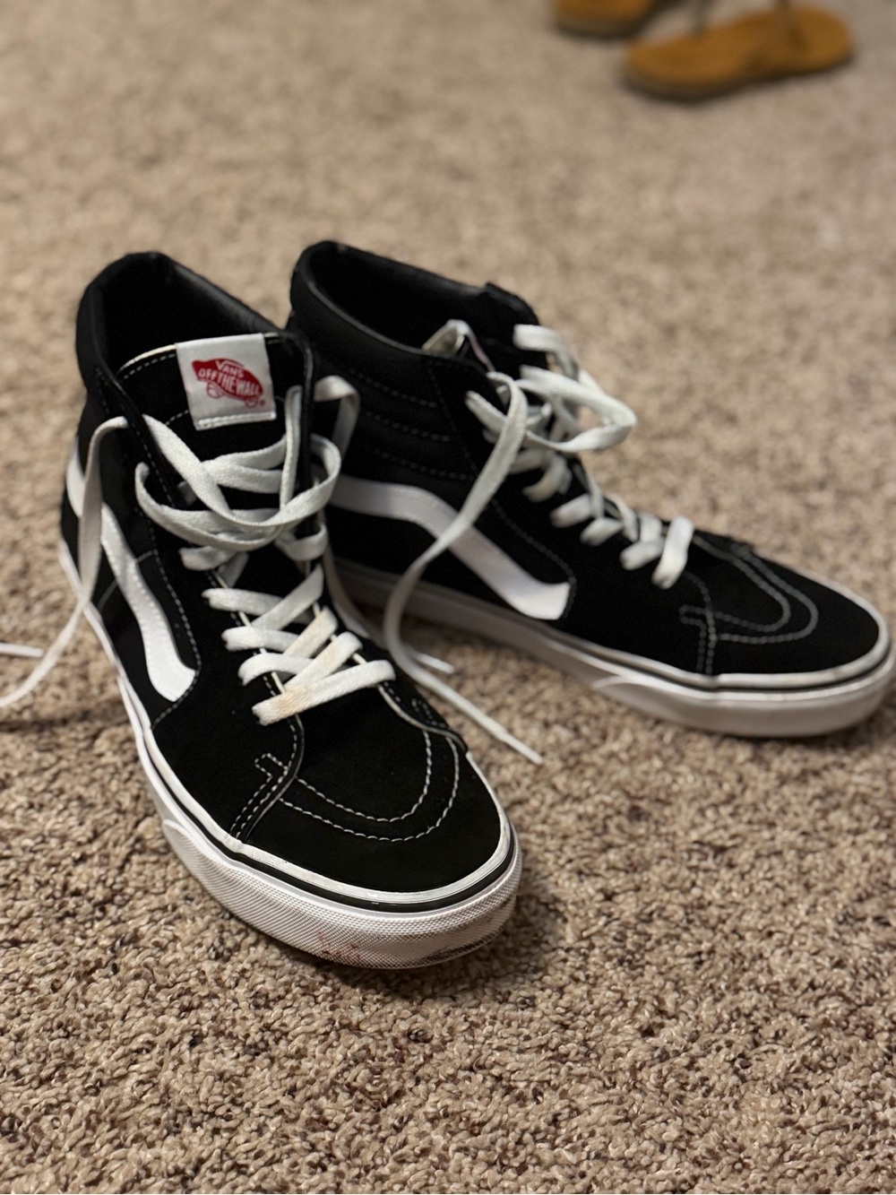 Vans Black and White High-Top Skate Sneakers